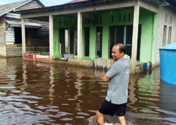 Empat Hari Pascabanjir Kabupaten Kayong Utara Tinggi Muka Air Menurun