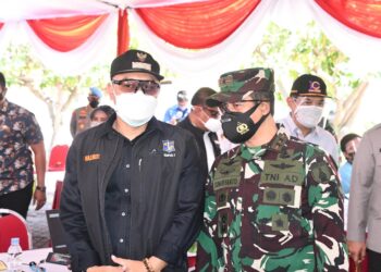 penanganan PPKM Darurat