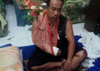 Pohon Kayu Nyaris Tumbang di Jalinsum Pulau Rakyat Sering Sebabkan Laka