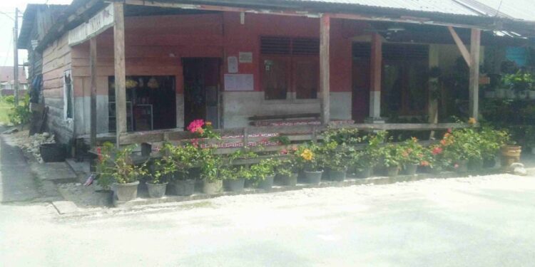 Cinta NKRI, Warga Pulo Sarok Singkil Bertahun Tahun Cat Rumahnya Tetap Warna Merah Putih