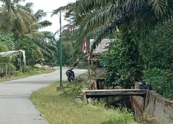 Semangat Kemerdekaan, Warga Suka Damai Singkil Pasang Bendera Merah Putih Di Depan Rumah