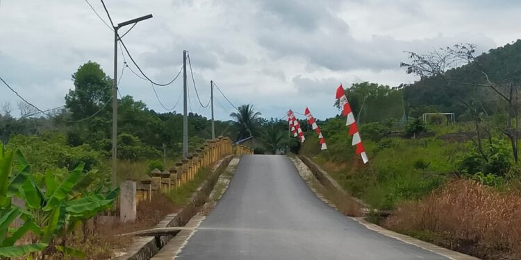 Peringati Hari Kemerdekaan ke-76 Kampung Suka Mulya Pasang umbul-umbul Sepanjang kampung
