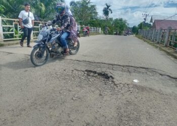 Rawan Kecelakaan, Warga Harapkan Perbaikan Jembatan Penghubung Desa Krueng Seunong – Keudee Krueng