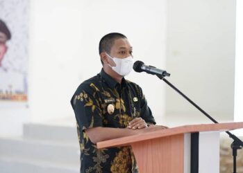 Paska Tambang di Lingga, Anggoto DPR RI Dari Komisi VII Akan Tinjau Lokasi