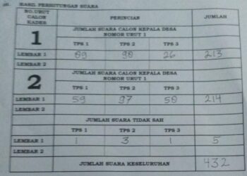 Pilkades Di Pulau Bukit Minta Diulang, Ini Alasannya