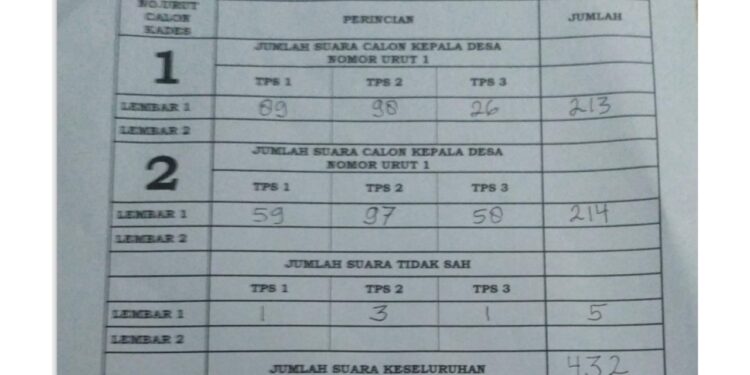 Pilkades Di Pulau Bukit Minta Diulang, Ini Alasannya