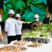 Cerita Petani Porang Milenial Dihadapan Presiden