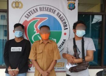 PNS