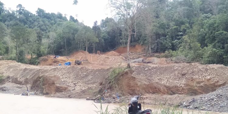 Lingkungan hidup