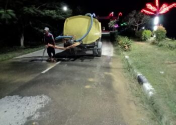 Median Jalan Semak Dan Taburan Sirtu Pada Akses Keluar Komplek Perkantoran SKPD Palas Di Bersih