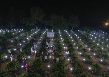 PLN Gratiskan Biaya Sambung Listrik ke 1.373 Keluarga di Desa Terpencil NTT