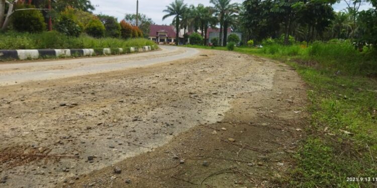 Terlihat jalan dipenuhi sirtu dan dipenuhi rumput yang membuat jalan rawan kecelakaan