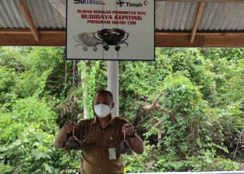 Tuah ketam Desa Sawang Laut