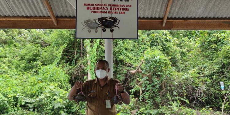 Tuah ketam Desa Sawang Laut