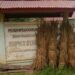 Potret Memprihatinkan Sekolah Tak Berpagar