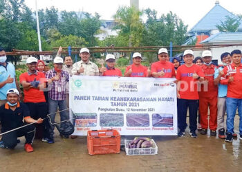 PT IP PLTU PNS OMU Langkat Panen Taman Aneka Hayati