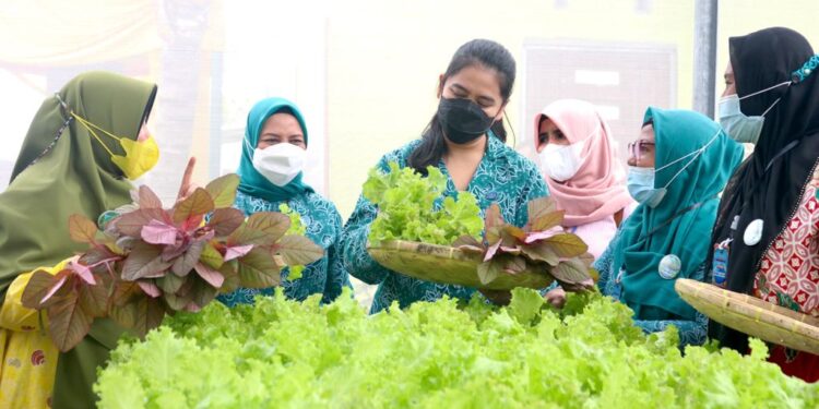 Ketua TPP PKK Harap Kelurahan Paya Pasir Juara PTP2WKSS Tingkat Sumut