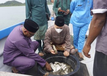 Bupati Lingga Meninjau Lokasi Budidaya Teripang Oleh PT Innovare