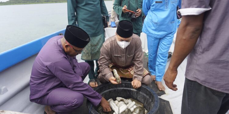 Bupati Lingga Meninjau Lokasi Budidaya Teripang Oleh PT Innovare