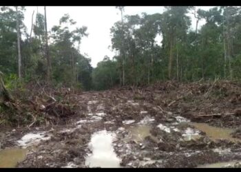 Usut Tuntas “Mafia” Tanah Di Natuna