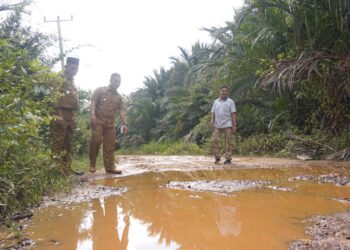 Pemprov Anggarkan Rp 9,6 Miliar Pembangunan Jalan Lingga Timur 2022