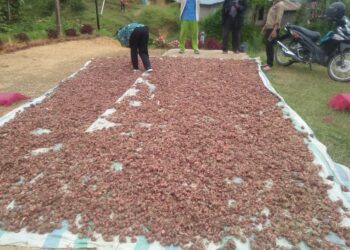 Dana Desa Diduga Beli “Bawang Busuk”