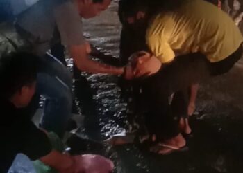Jalan Rusak di Pulau Rakyat Pekan Menelan Korban, IRT Tewas Dilindas Truck Kepala Pecah Otak Terburai