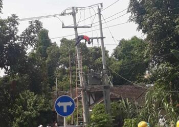 Tragis Petugas PLN Tanjung Batu Barat Tewas Tergantung, Disengat Aliran listrik