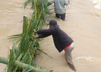Beredar Foto warga bangun tanggul darurat dari bambu dan pelepah daun Rumbia