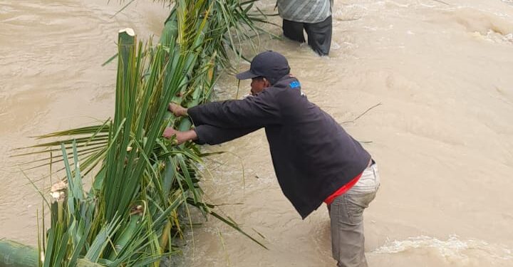 Beredar Foto warga bangun tanggul darurat dari bambu dan pelepah daun Rumbia