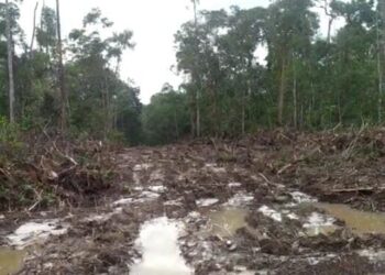 Pihak APH Natuna Soroti Kasus Lahan AT Di Kelanga