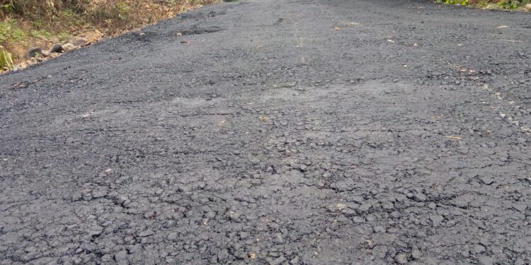 Proyek jalan 1,9 Milyar Dinilai “Amburadul” LIMA Desak APH Usut proyek Jalan Cot Kupula