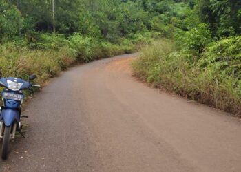 Warga Keluhkan Bahu Jalan Antara Jagoh Sungai Buluh Dipenuhi Semak Belukar