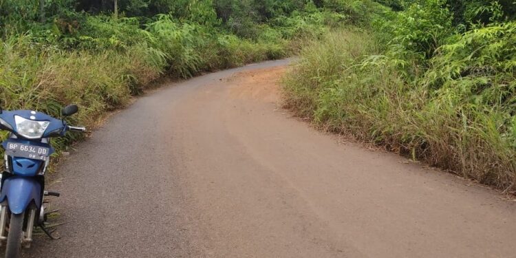 Warga Keluhkan Bahu Jalan Antara Jagoh Sungai Buluh Dipenuhi Semak Belukar