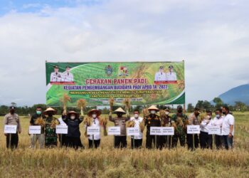 Kapolda Sumut Panen Raya Padi dan Tinjau Tanaman Bawang di Kabupaten Karo