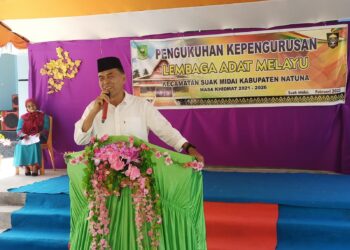Lembaga Adat Melayu