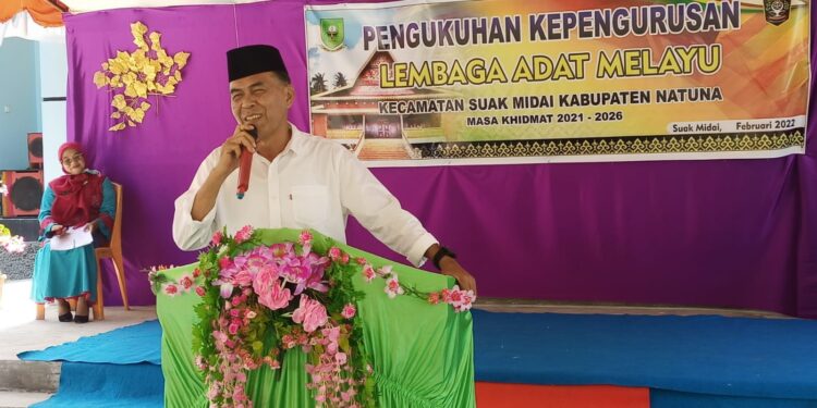 Lembaga Adat Melayu