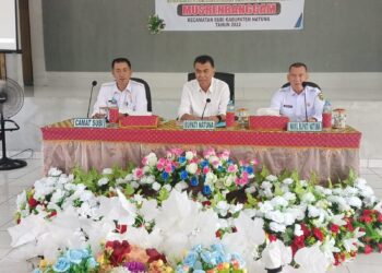 Partai Demokrat