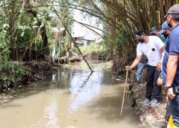 Bobby Turun Bersihkan Sungai Selayang, Masyarakat Turut Membantu