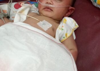 Bayi Ditemukan Di Gunung Salak, Tubuhnya Dipenuhi Semut