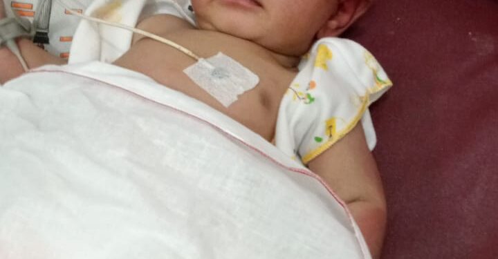 Bayi Ditemukan Di Gunung Salak, Tubuhnya Dipenuhi Semut