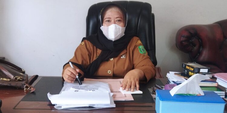 Kadis Dukcapil Dra Nelly: Kita Upayakan Maksimal, Berkas Sudah 80 Persen Selesai