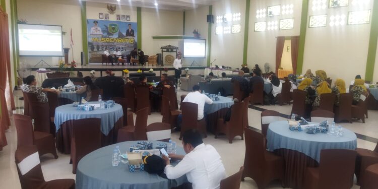 Bappeda Musrembang RKPD 2023. Percepatan Pembangunan Ekonomi Sosial Untuk Palas Bercahaya