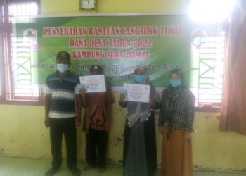 BLT, DD, KPM