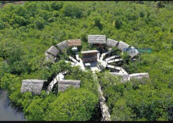 Pariwisata Natuna, Panorama Magrove