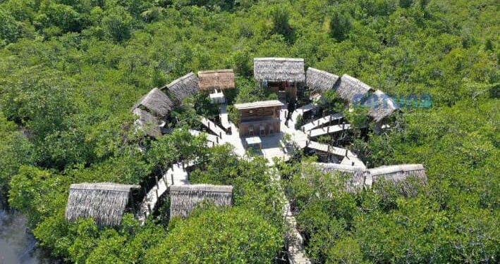 Pariwisata Natuna, Panorama Magrove