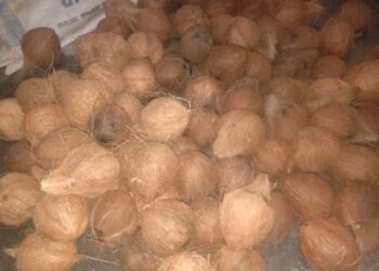 Minyakm goreng, kepala, minyak kelapa