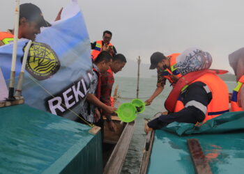 Kepiting