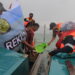 Kepiting