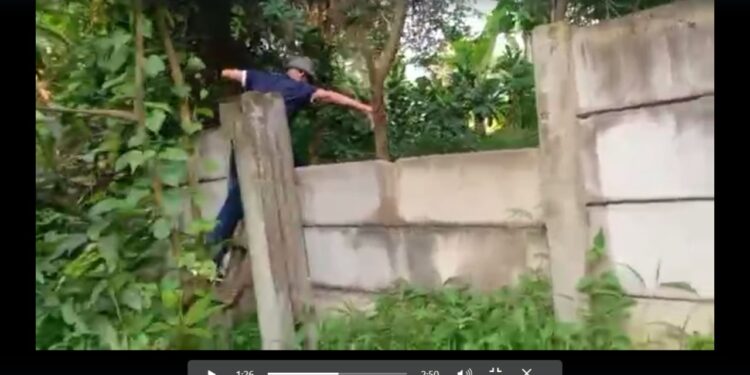 Sengketa, Lahan, Br Nainggolan